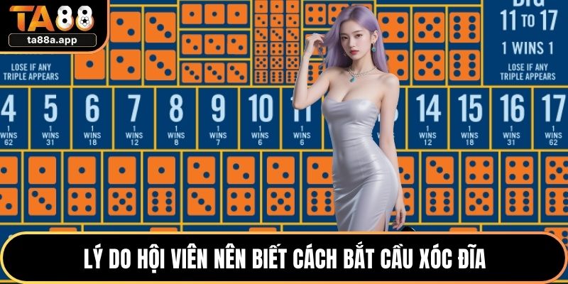 Cách Bắt Cầu Xóc Đĩa Chuẩn, Phân Tích Nhịp Thông Minh 1 Lý do hội viên nên biết cách bắt cầu xóc đĩa