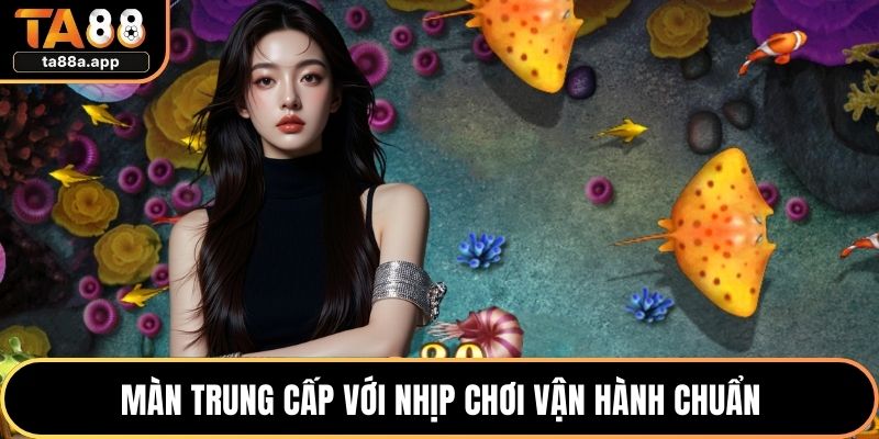 Bắn Cá H5 – Trải Nghiệm Săn Xu Mượt Mà Cực Thân Thiện 2 Màn trung cấp với nhịp chơi vận hành chuẩn