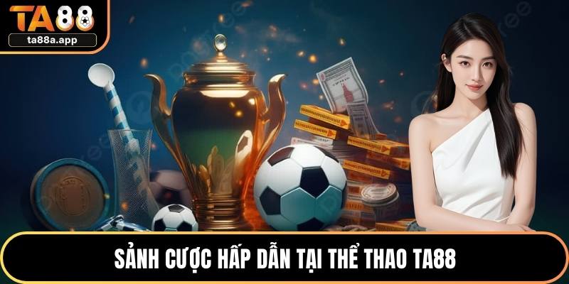 Sảnh cược hấp dẫn tại thể thao TA88
